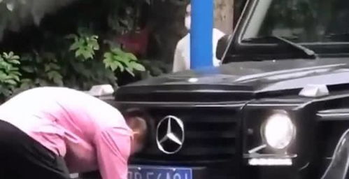 汽车喷子有多少种